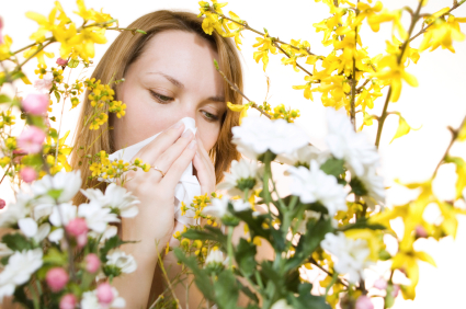 sinus infection and hay fever sinus infection and hay fever